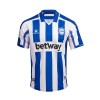 Goedkope Deportivo Alaves Thuisshirt 2020-21